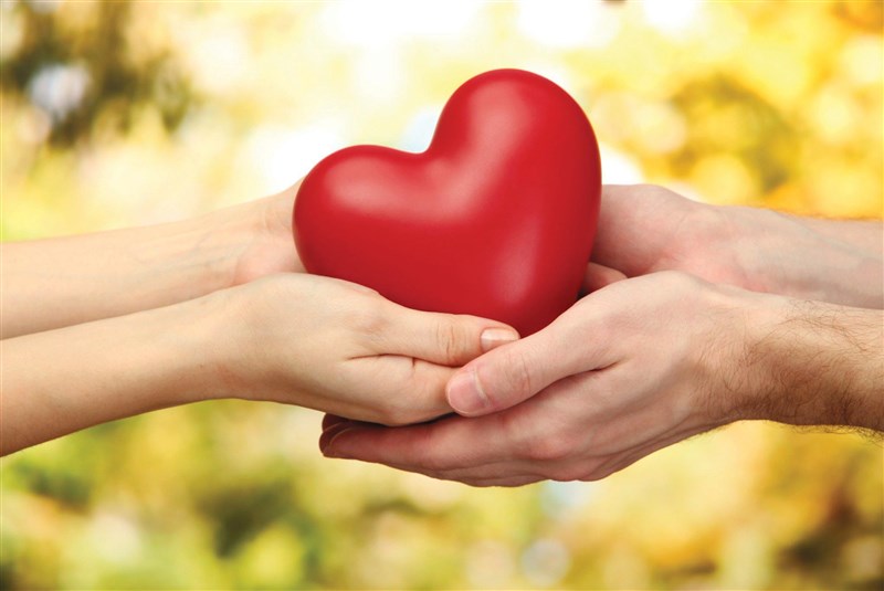 Dự án Bữa cơm cho em